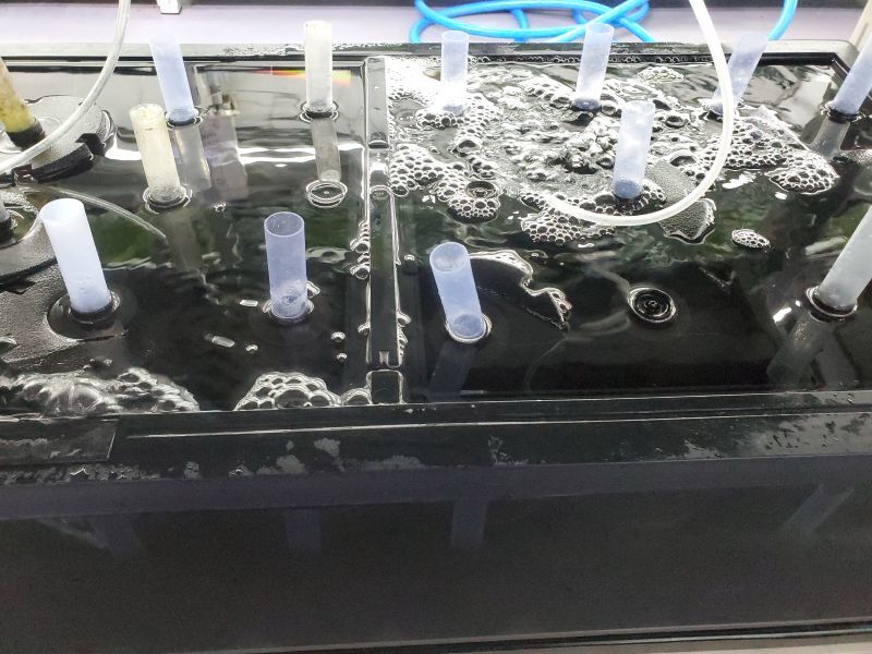 Lssー研究所 スポンジフィルター100s バクテリア活着済み グロリアス